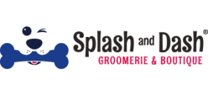 Splash and Dash For Dogs